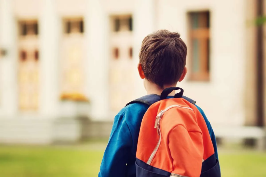 child custody joint legal physical children school change