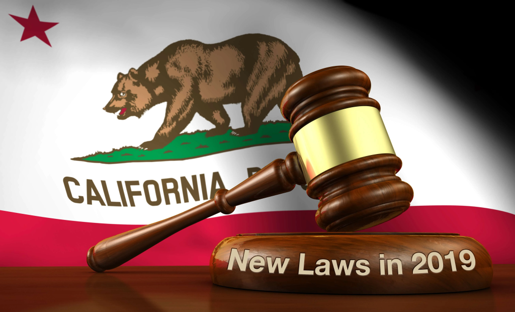 Learn about the new 2019 laws in California