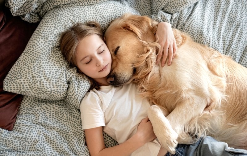 A young child lying on a bed with patterned bedding, peacefully resting while hugging a golden retriever dog that is cuddled close beside them