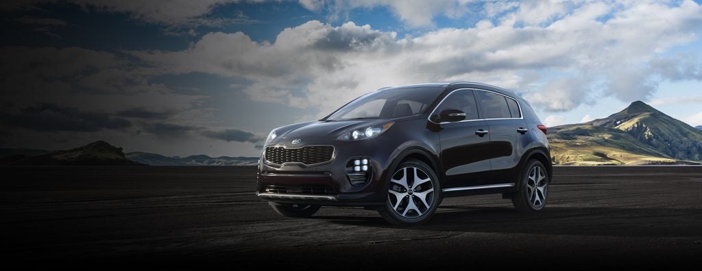 2019 Kia Sportage in Black Cherry