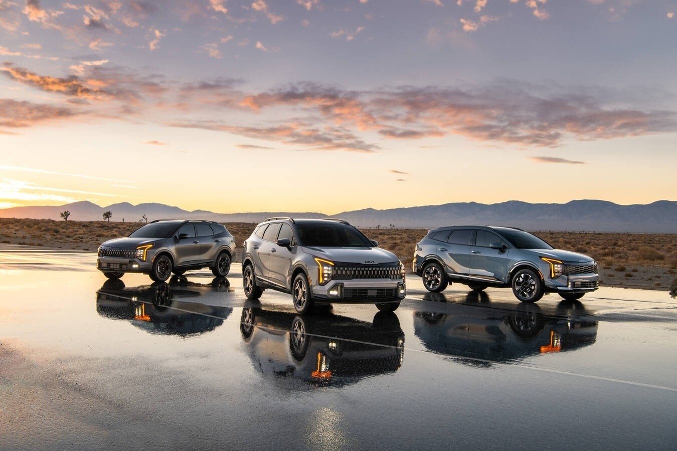 Bold 2026 Sportage