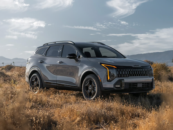 grey kia