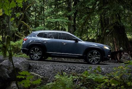 CX-50