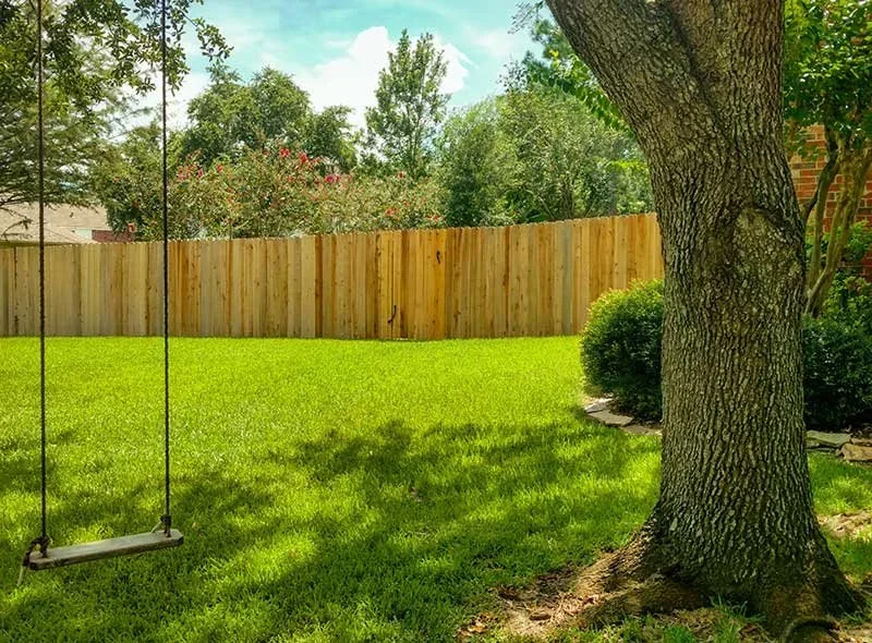 wood Fence