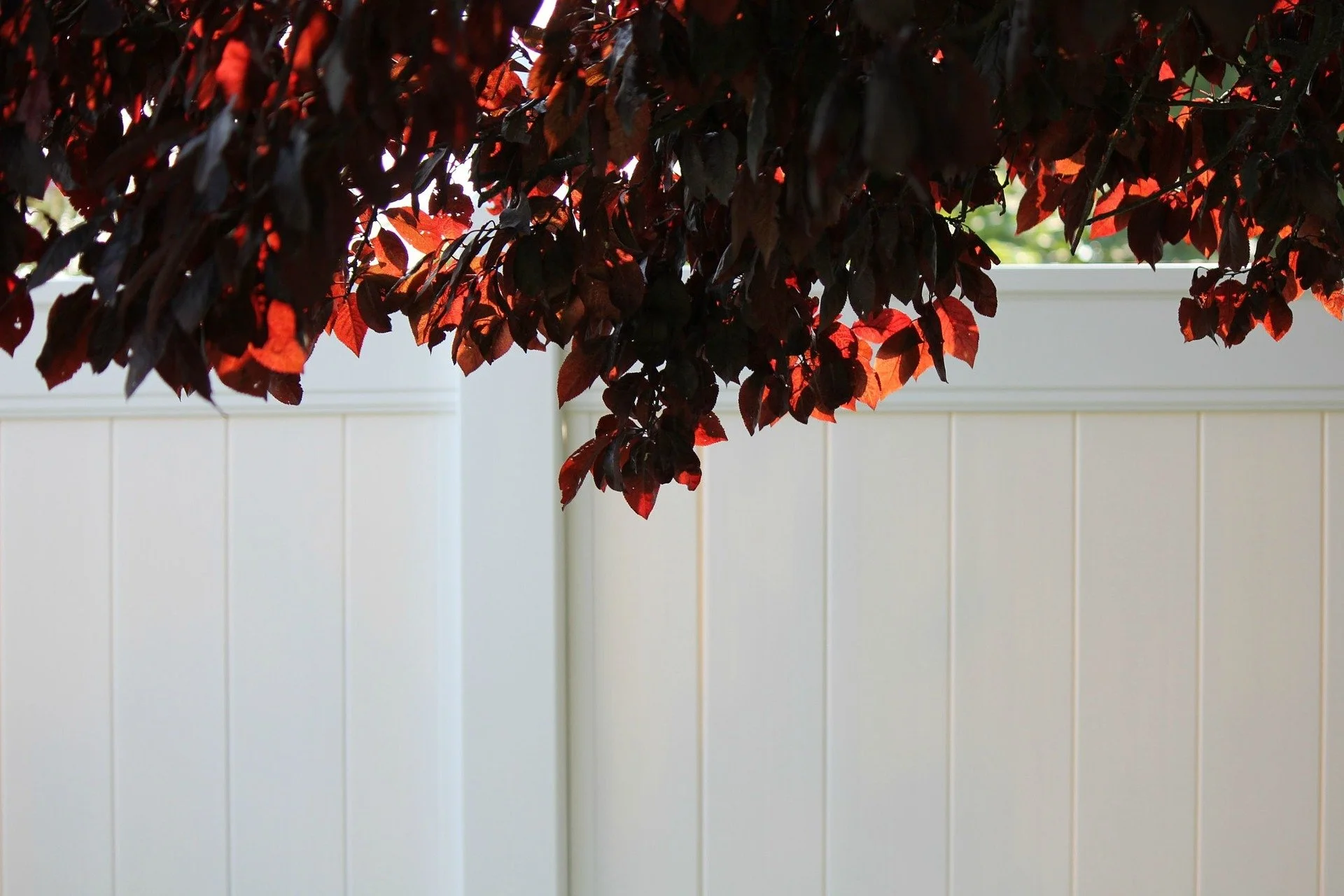 wooden vinyl fence around a house
