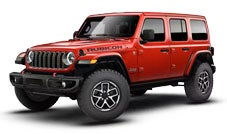 RUBICON X