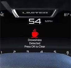 DROWSY DRIVER DETECTION*