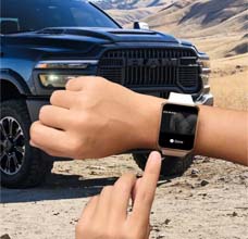 REMOTE VEHICLE START*