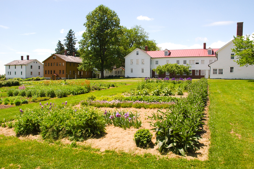 Historic Shaker village with a foreground garden of herbs and vegetables, and white and brown buildings behind it.