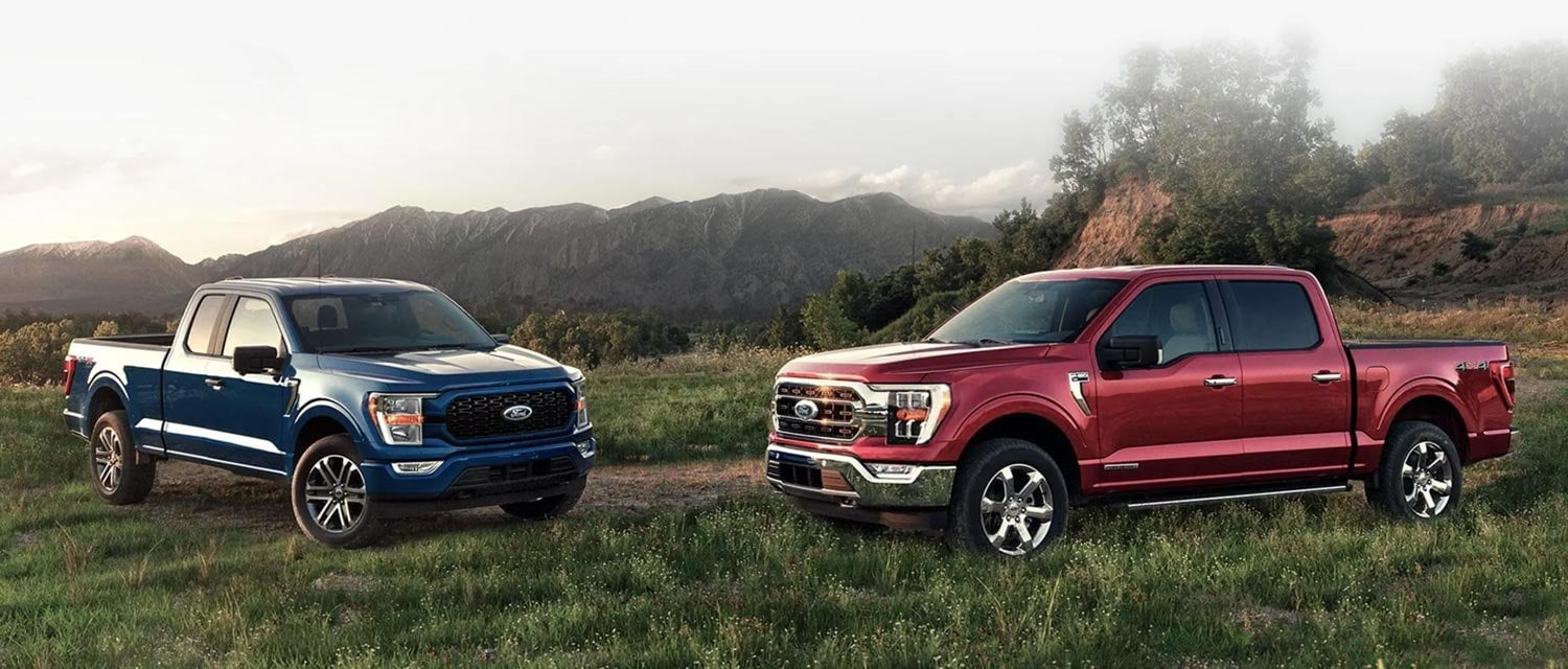A blue and a red Ford F-150 truck parked in a grassy field with mountains in the background.