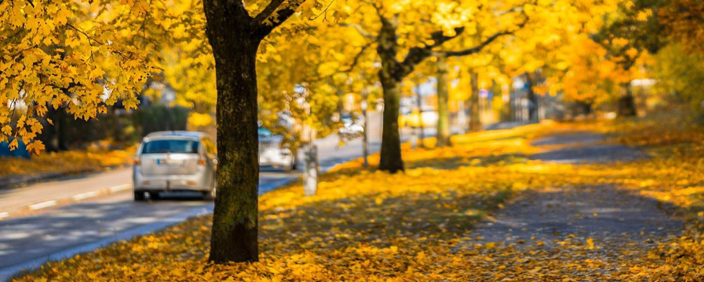 5 Tips to Prepare Your Car or Truck for the Fall