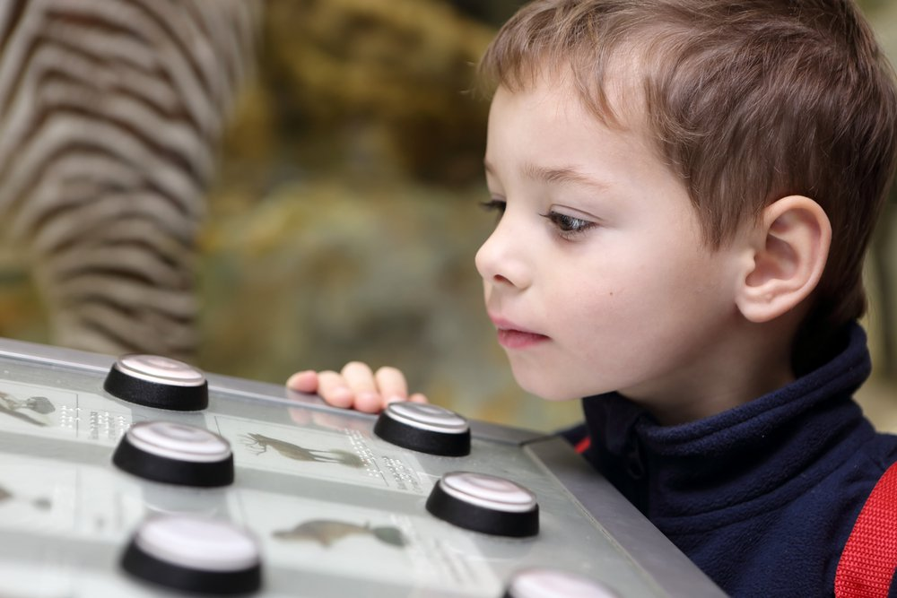 A Visit to the McAuliffe-Shepard Discovery Center Is Inspirational
