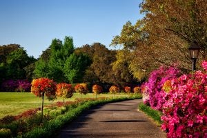 7 Great Outdoor Activities to Enjoy Near Orangeburg and Columbia, SC