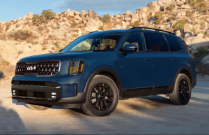 A blue 2024 Kia Telluride parked on a dirt road near Orangeburg, South Carolina
