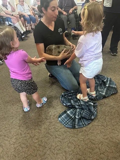 Tree Family Pigs Visit