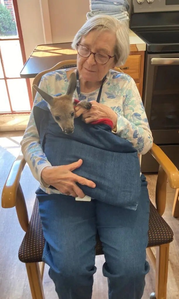 Kangaroo Cuddles & Puppy Snuggles