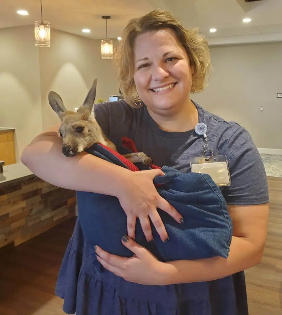 Fun with Kangaroos!