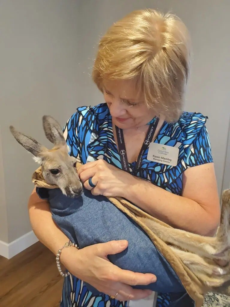Fun with Kangaroos!