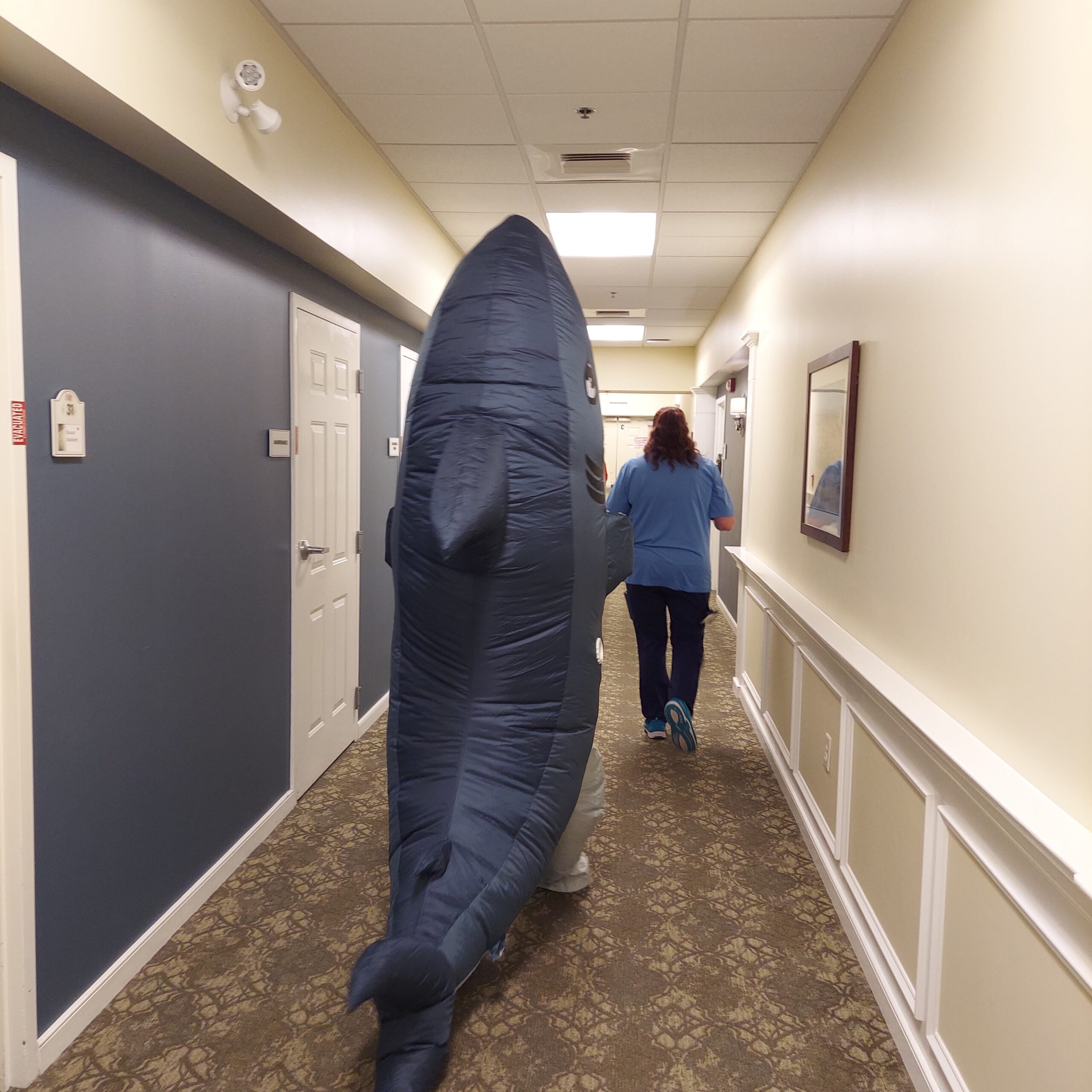 Shark Attack 1