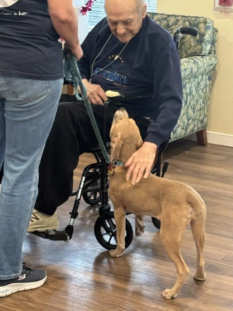 Puppy Party