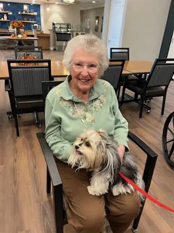 Alliance Pet Therapy