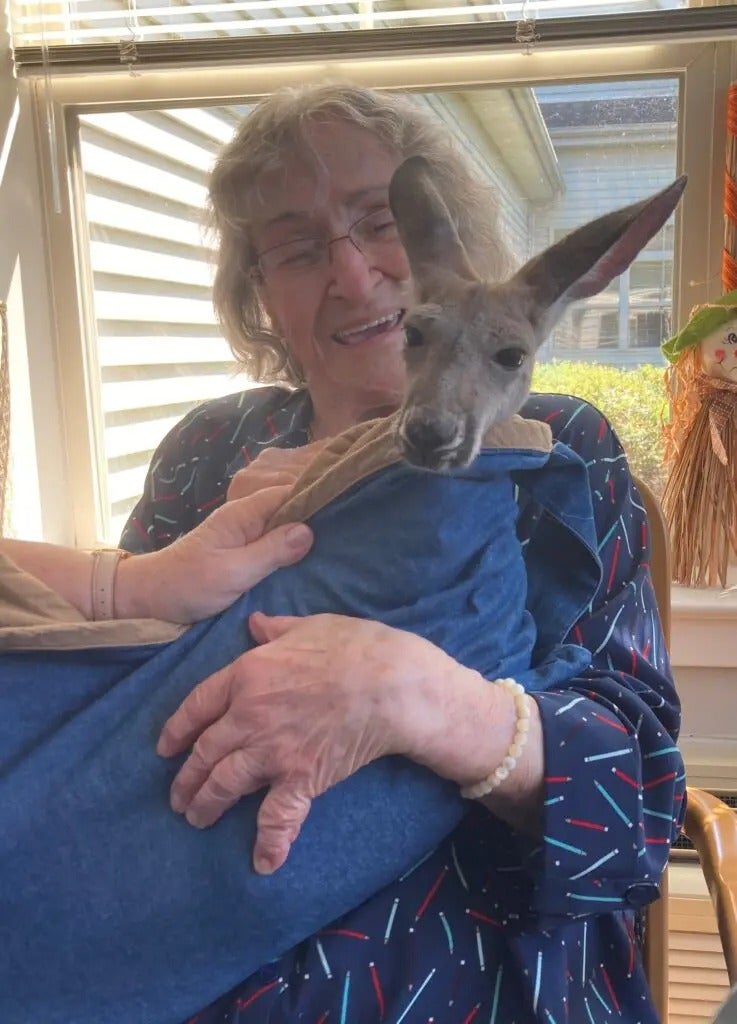 Kangaroo Cuddles & Puppy Snuggles