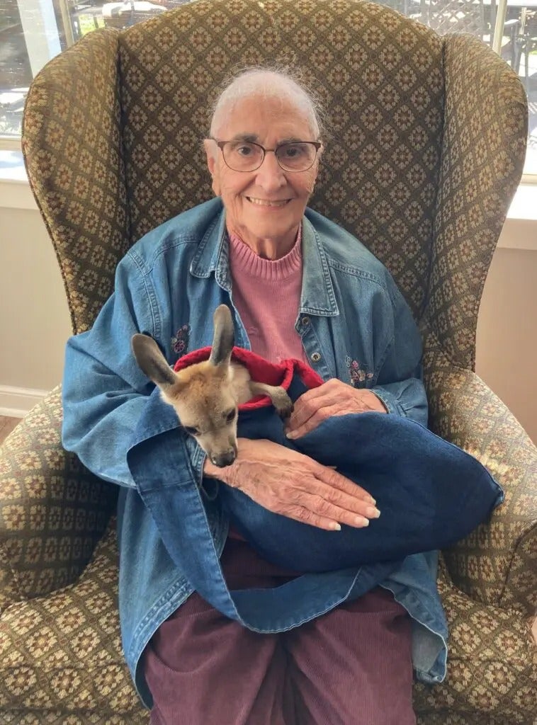 Kangaroo Cuddles & Puppy Snuggles