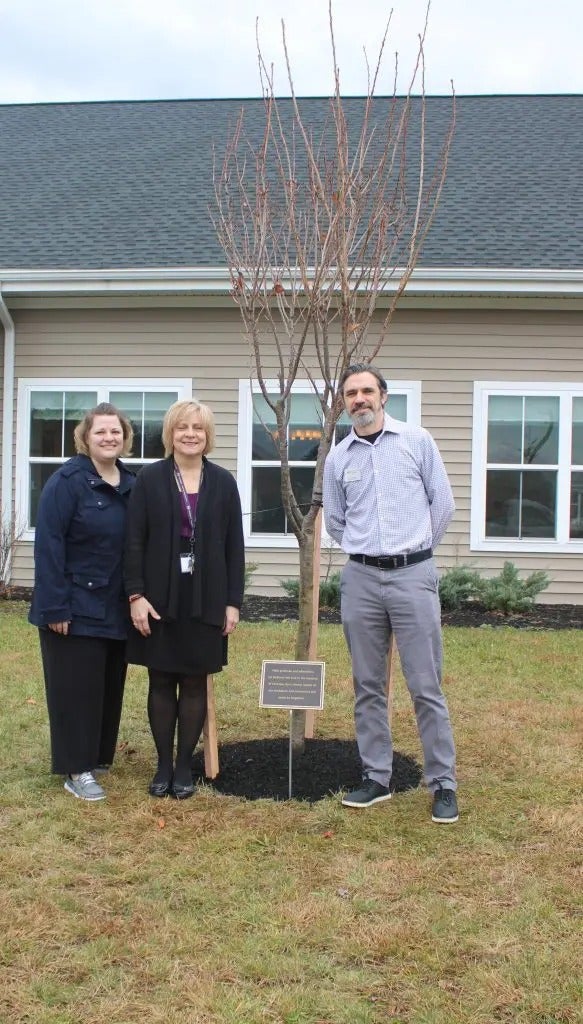 Memory Tree Tribute
