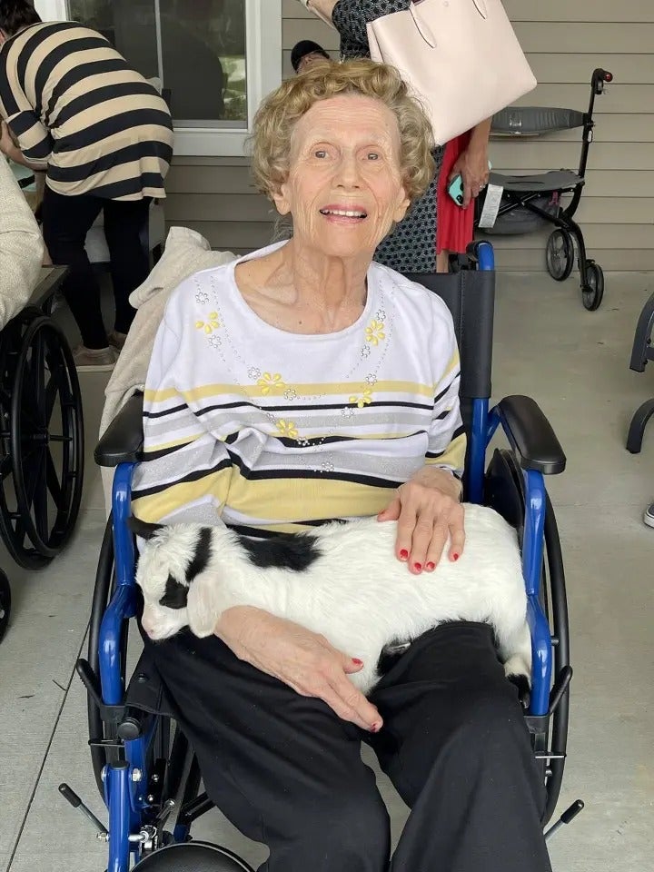 Mother’s Day with Batz Farm baby goats