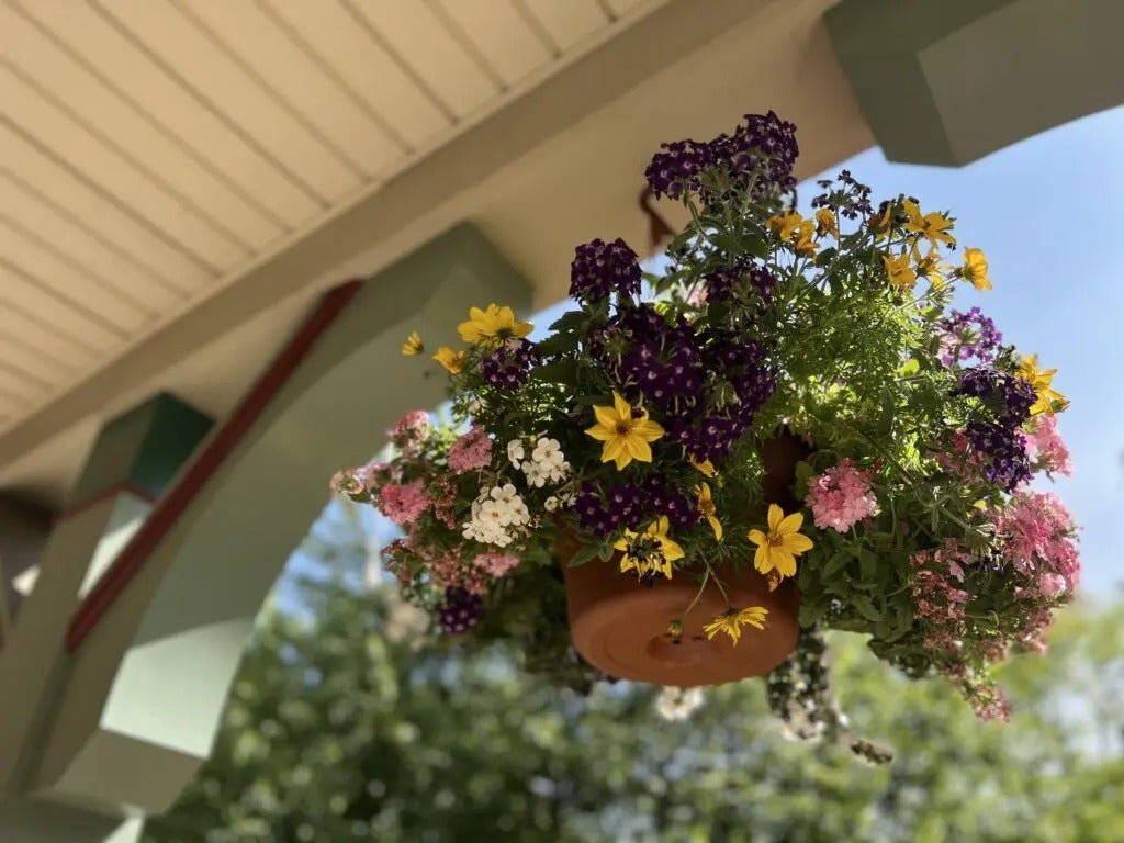 Growing Gardens