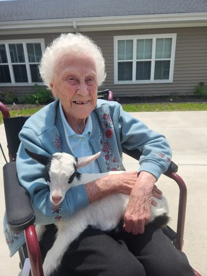 Mother’s Day with Batz Farm baby goats