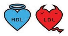 cholesterol