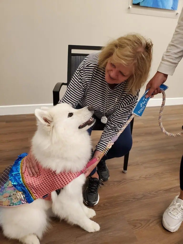Alliance Pet Therapy