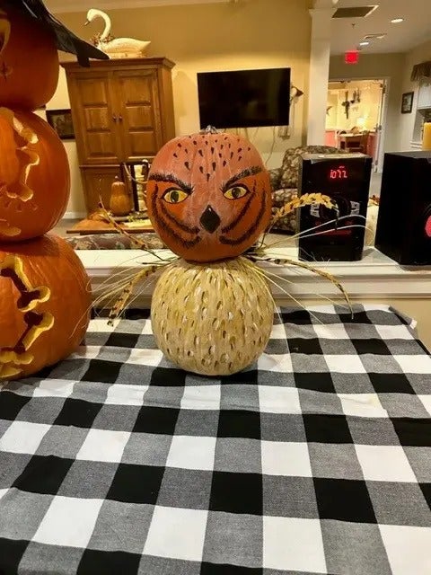 Pumpkin Palooza