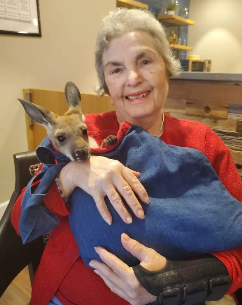 Fun with Kangaroos!