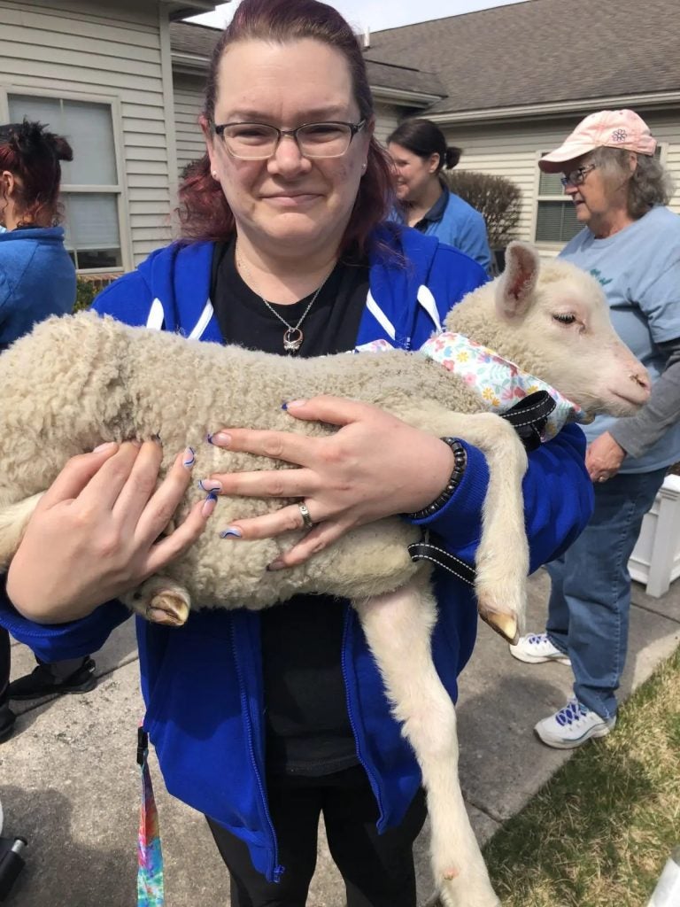 Farm Friends!