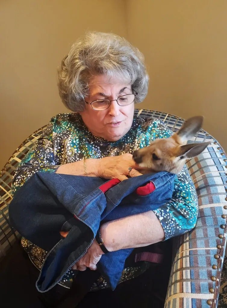 Fun with Kangaroos!