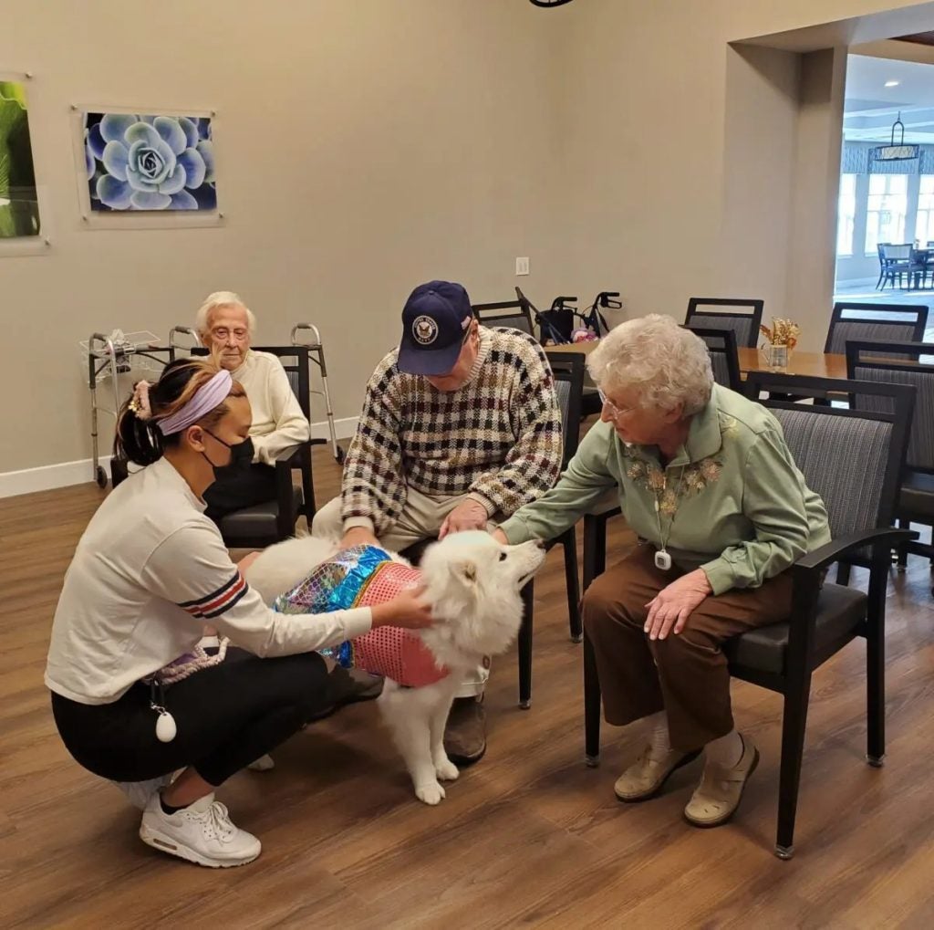 Alliance Pet Therapy