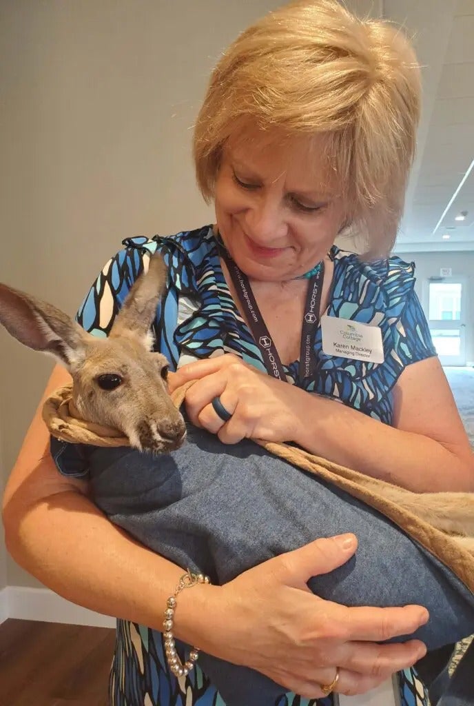 Fun with Kangaroos!