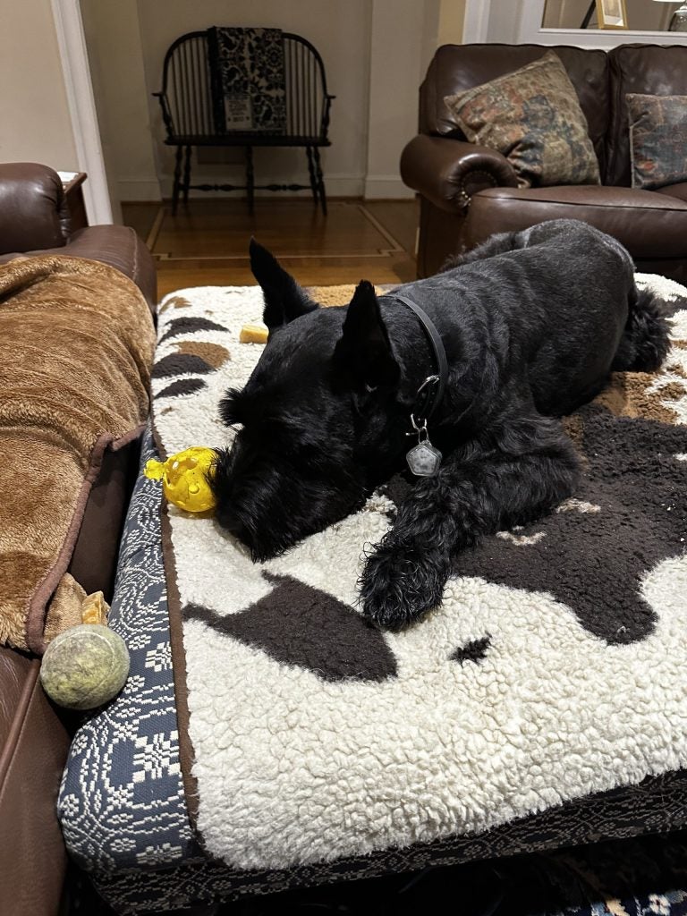 Jett’s Pickleball Fiasco