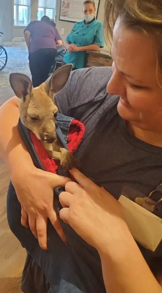 Fun with Kangaroos!