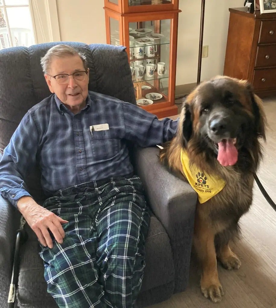 Therapy Dogs