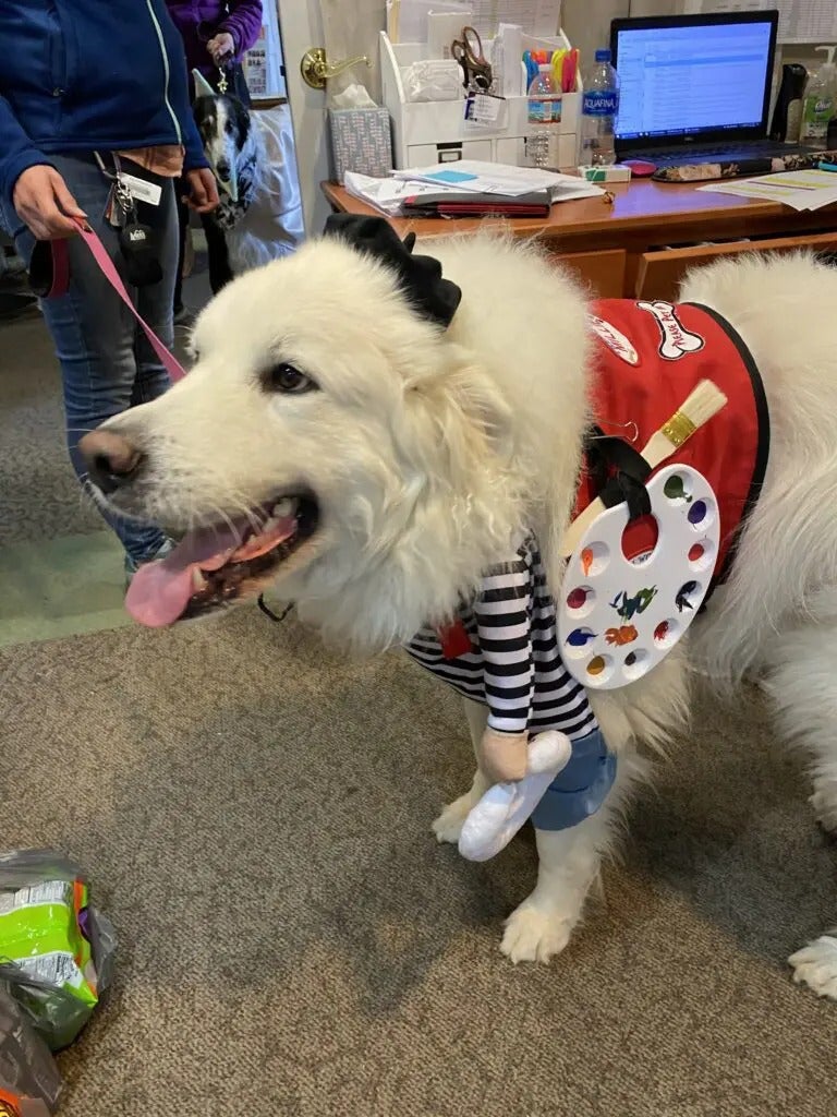 Trick or Treat