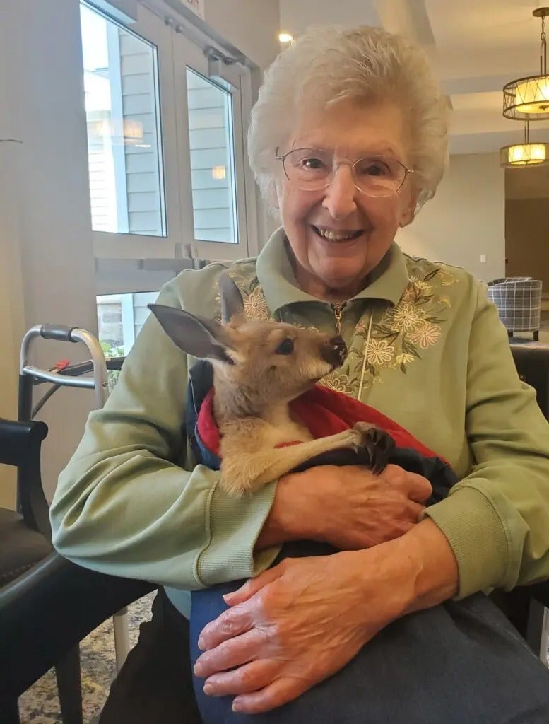 Fun with Kangaroos!