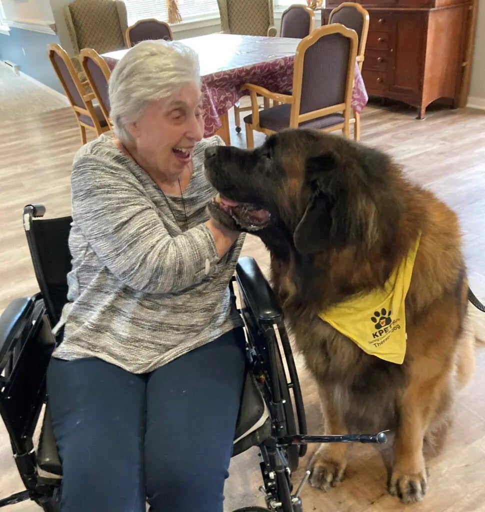 Therapy Dogs