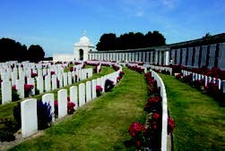 flanders-fields