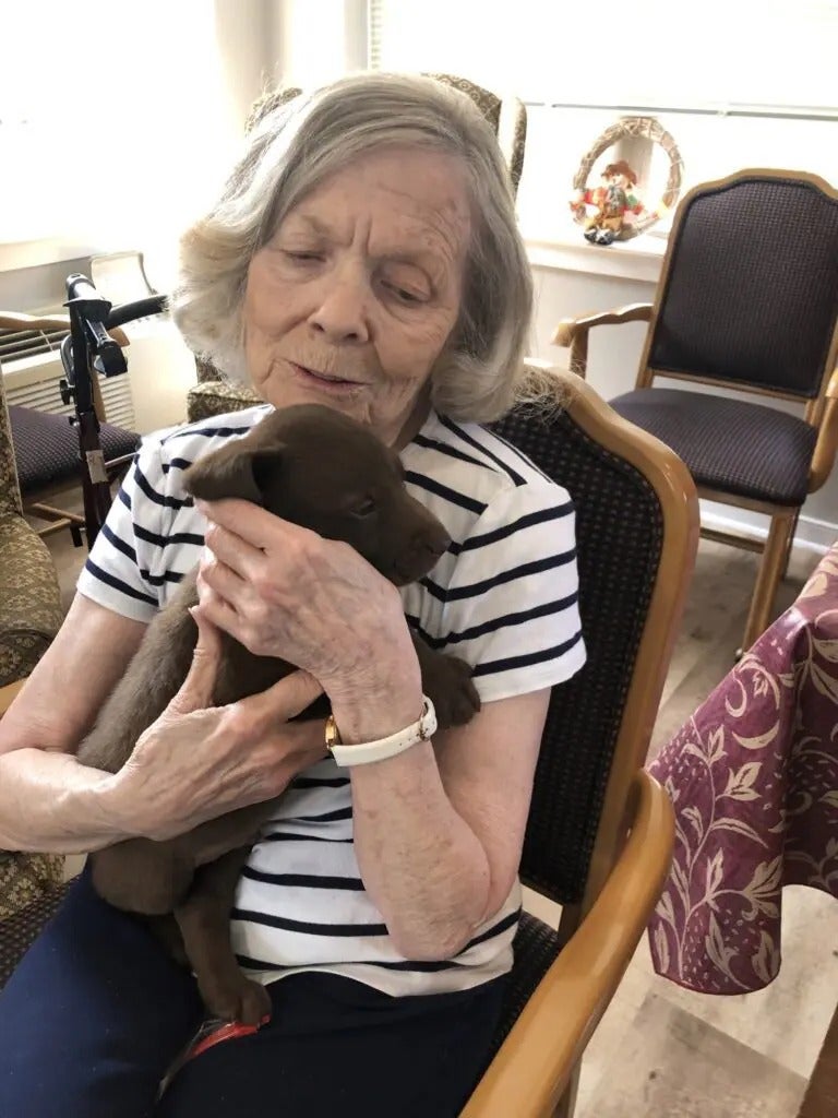 Kangaroo Cuddles & Puppy Snuggles