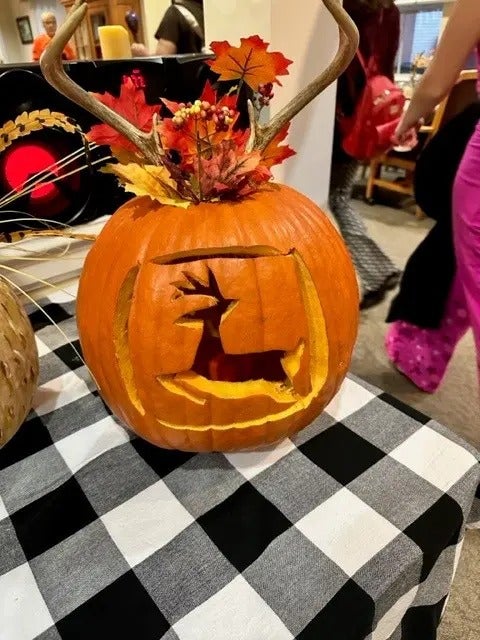 Pumpkin Palooza