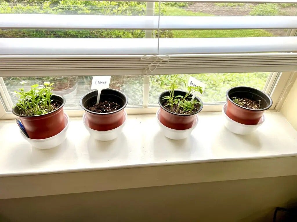 Growing Gardens