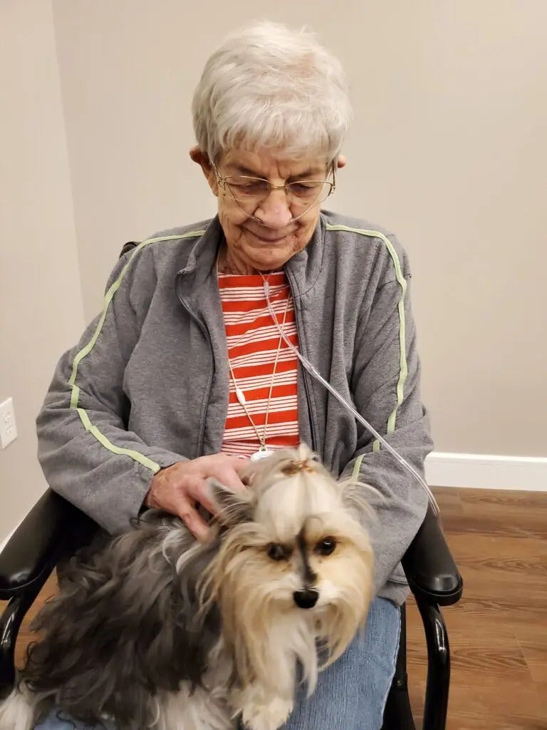 Alliance Pet Therapy